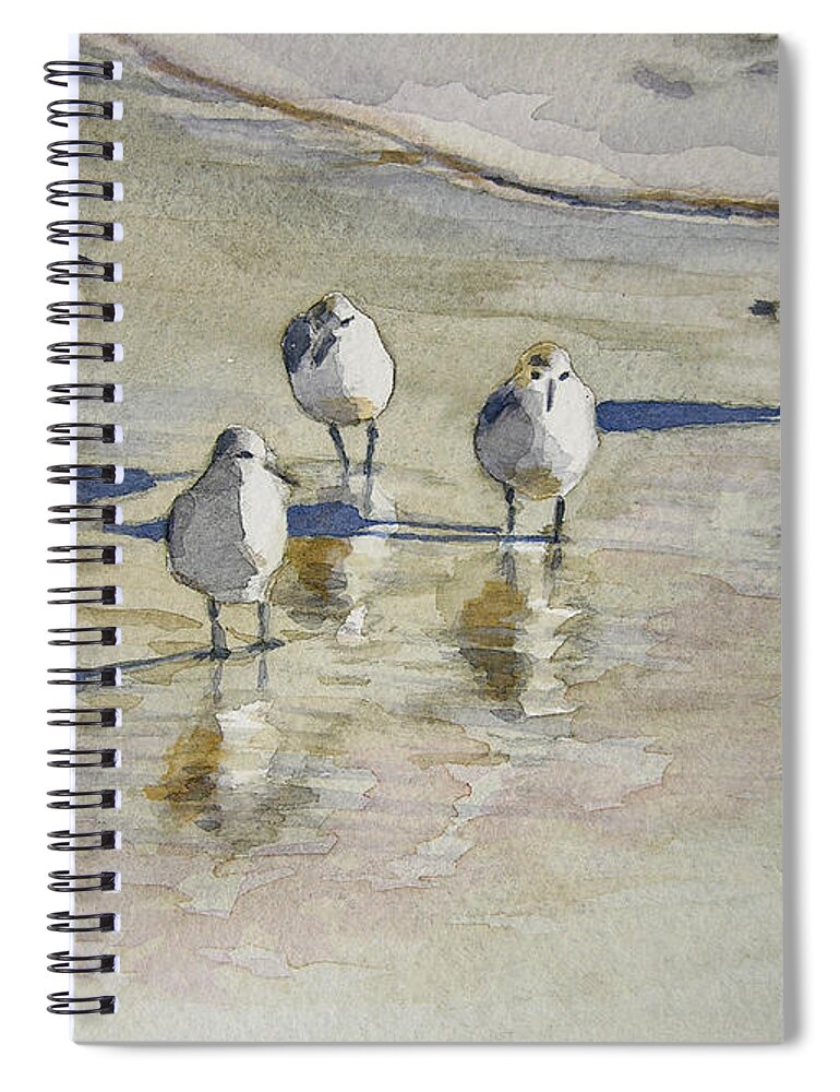 Bird Watercolor Paintings Spiral Notebook featuring the painting Sandpipers 2 watercolor 5-13-12 julianne felton by Julianne Felton