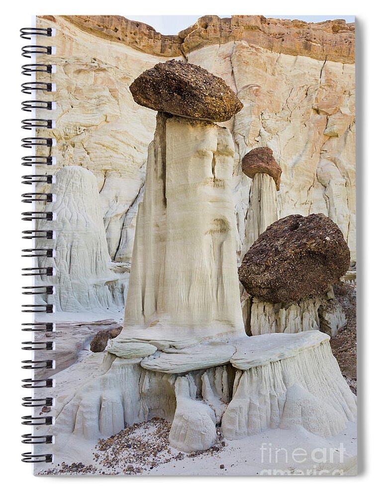 00559163 Spiral Notebook featuring the photograph Sandstone Toadstools by Yva Momatiuk John Eastcott