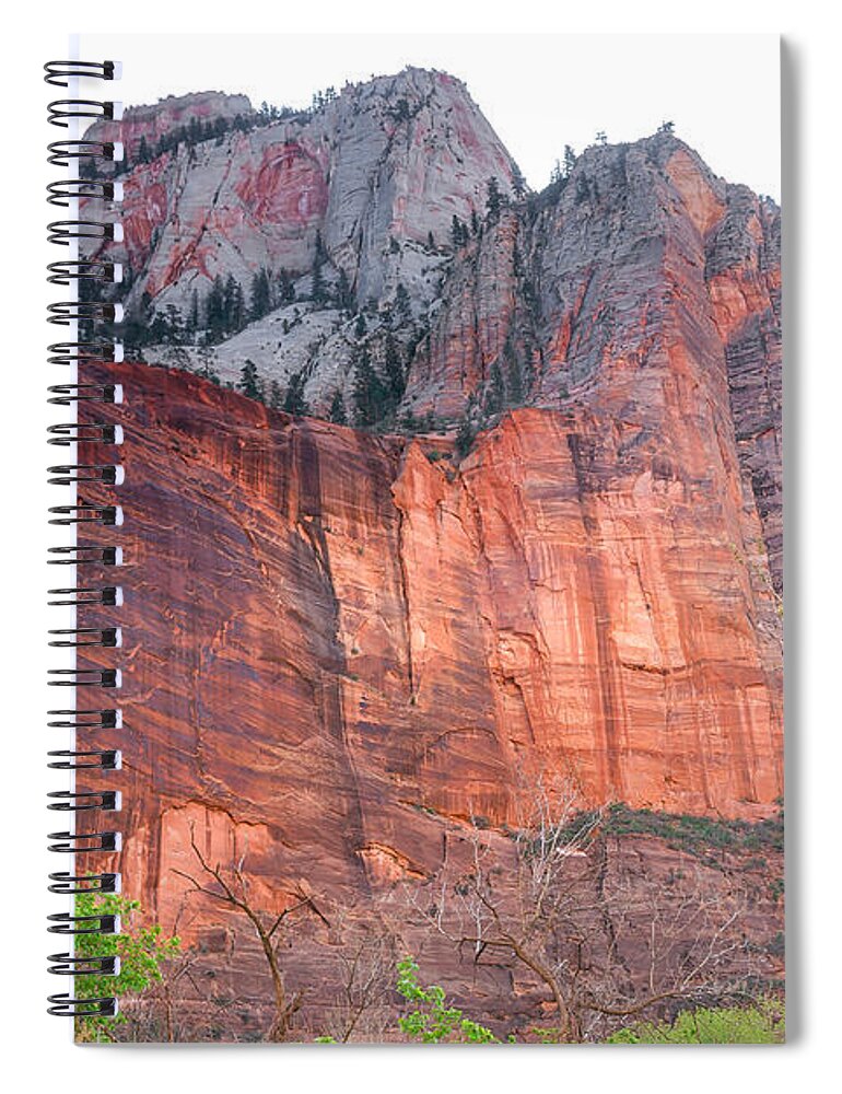 Zion National Parks Spiral Notebook featuring the photograph Sandstone Wall in Zion by Robert Bales