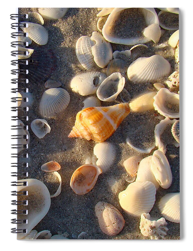 Conch Spiral Notebook featuring the photograph Sanibel Island Shells 2 by Nancy L Marshall