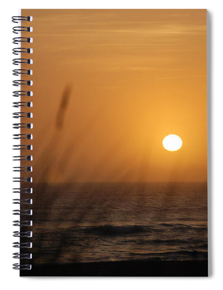 Santa Cruz Spiral Notebook featuring the photograph Santa Cruz Sunset by Shane Kelly