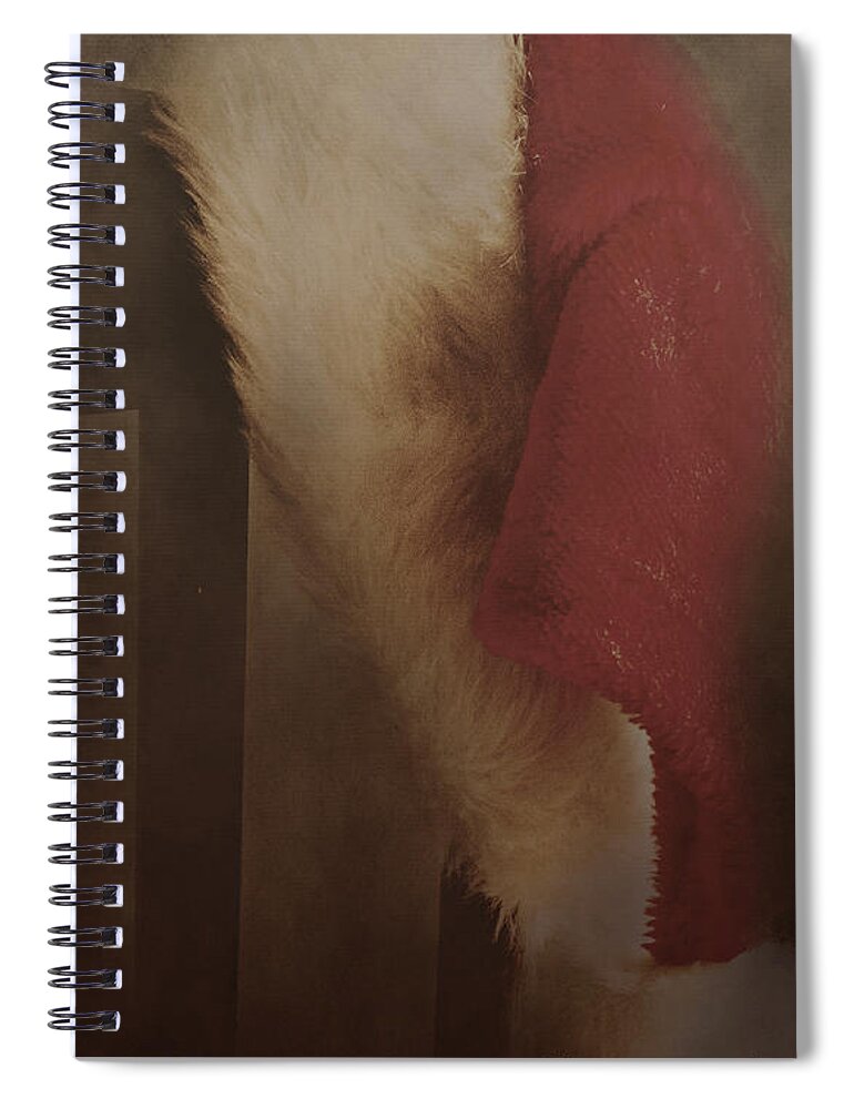 Christmas Spiral Notebook featuring the photograph Late Night Visitor by Pam Holdsworth