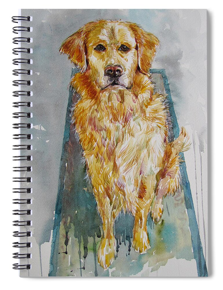 Golden Retriever Spiral Notebook featuring the painting Sasha by Jyotika Shroff