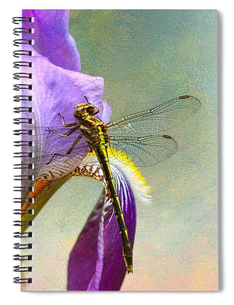 Iris Germanica Spiral Notebook featuring the photograph Say Hello To Spring by Jai Johnson