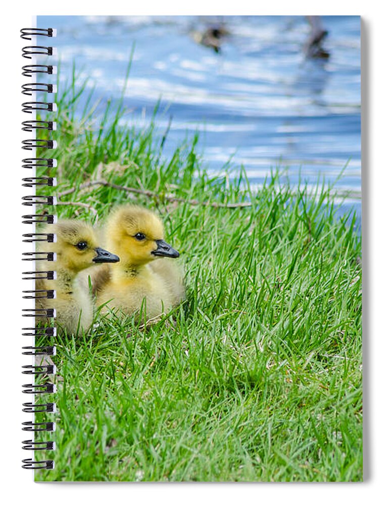 Nature Spiral Notebook featuring the photograph Staying Together by Wild Fotos