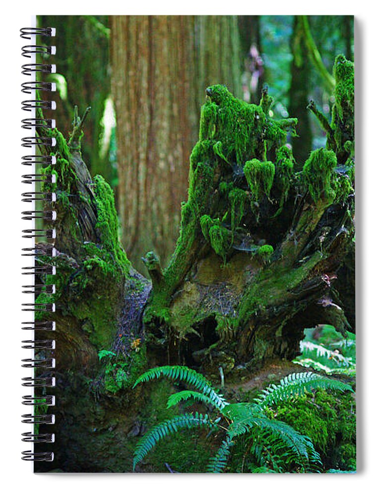 Forests Spiral Notebook featuring the photograph Sc3278-13 by Randy Harris