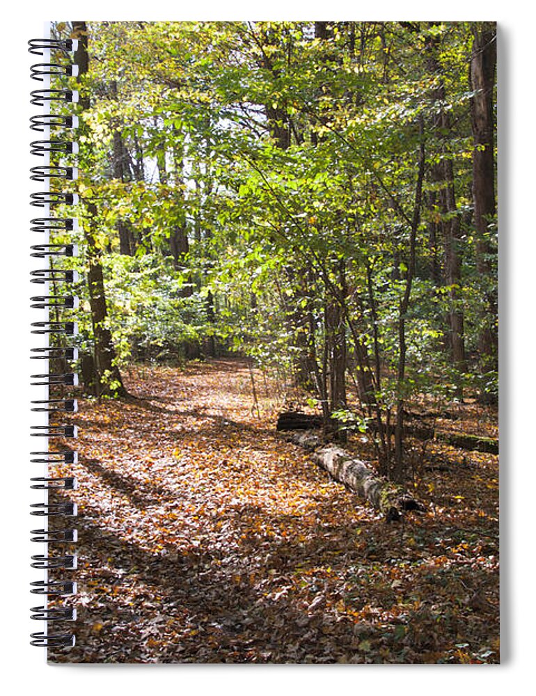 Scared Grove Spiral Notebook featuring the photograph Scared Grove 2 by William Norton