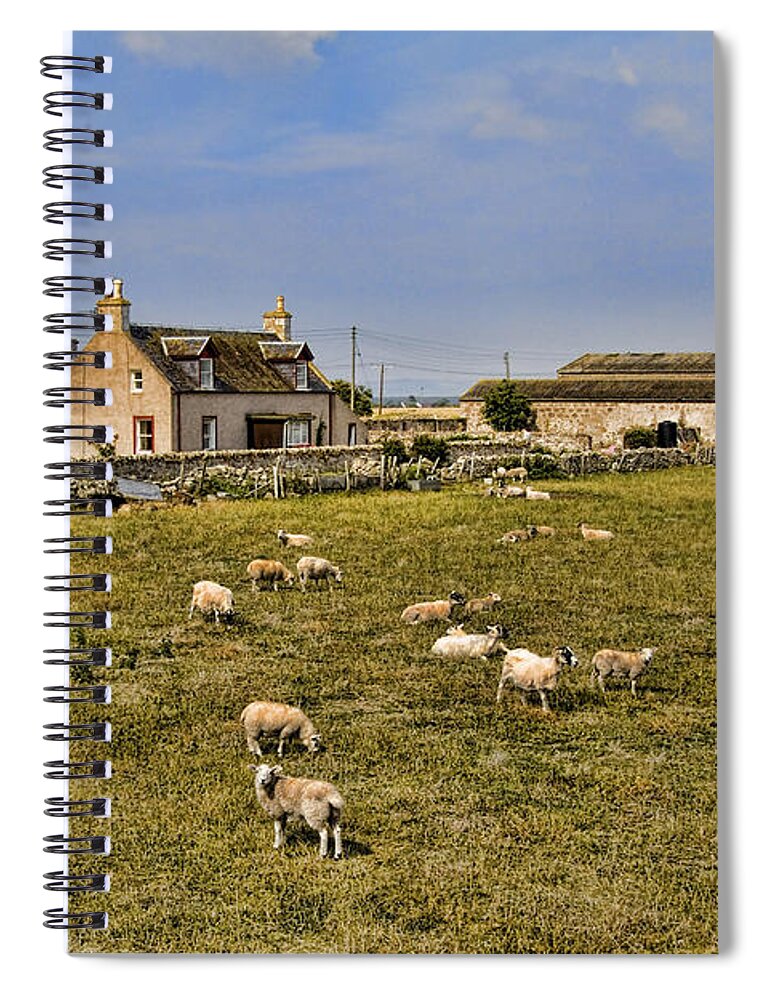 Farm Spiral Notebook featuring the photograph Scottish Sheep Farm by Bill Bachmann