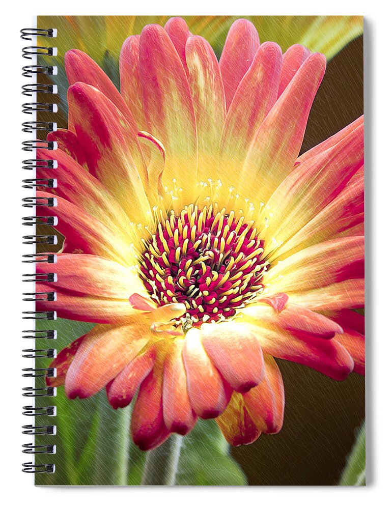 Flower Spiral Notebook featuring the photograph Scratched Gerber Daisy by Bill and Linda Tiepelman
