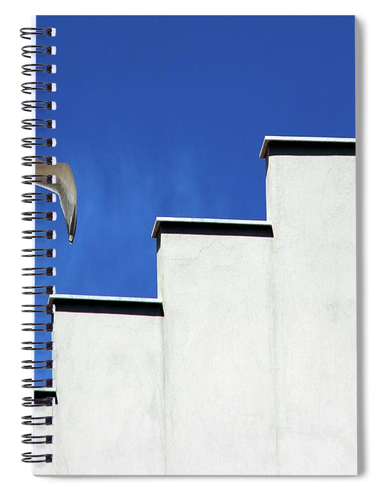 Animal Themes Spiral Notebook featuring the photograph Sea-gull by Meghimeg