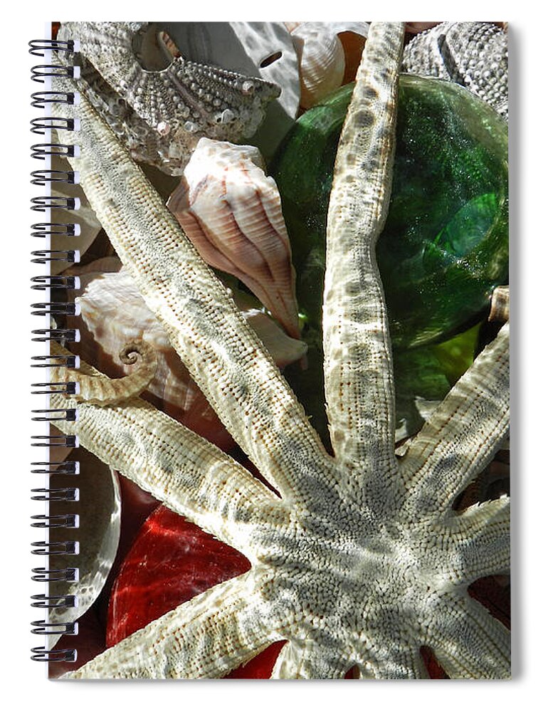 Sea Spiral Notebook featuring the photograph Sea Horse Star and Shells by Deborah Ferree