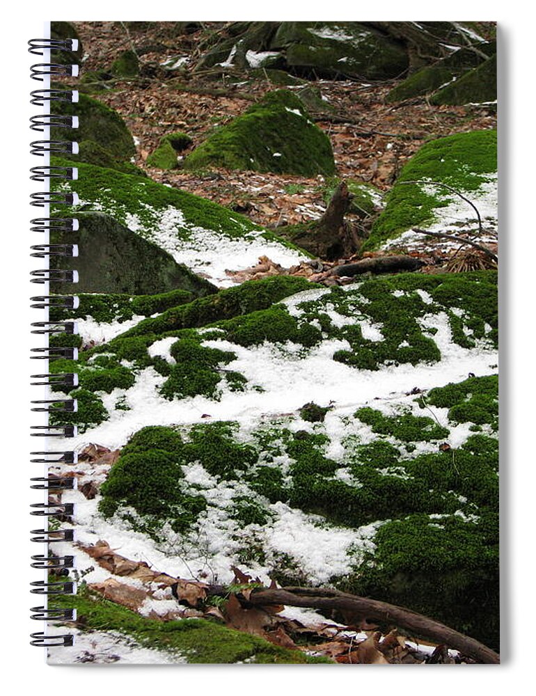 Tinker's Creek Spiral Notebook featuring the photograph Sea of Green by Michael Krek