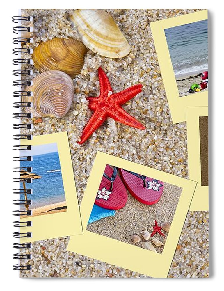 Seashell Spiral Notebook featuring the photograph Sea shells by Paulo Goncalves