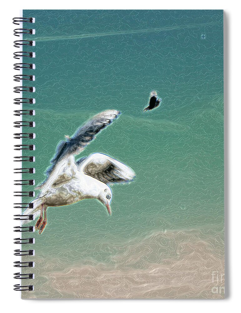 Seagull Spiral Notebook featuring the photograph 10759 Seagull and Pigeon In Flight by Colin Hunt