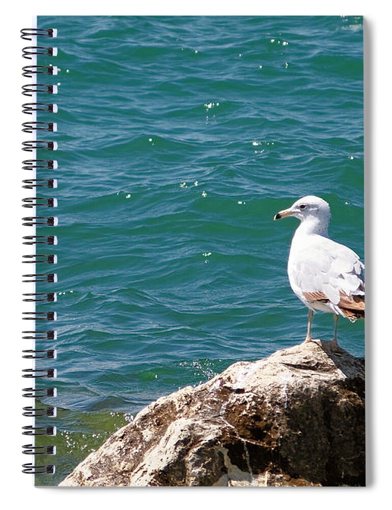 Michigan Spiral Notebook featuring the photograph Seagull on Rock by Lars Lentz