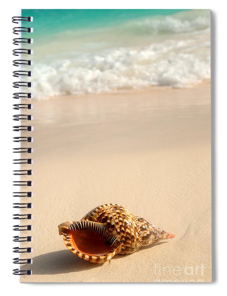 Seashell Spiral Notebook featuring the photograph Seashell and ocean wave 4 by Elena Elisseeva