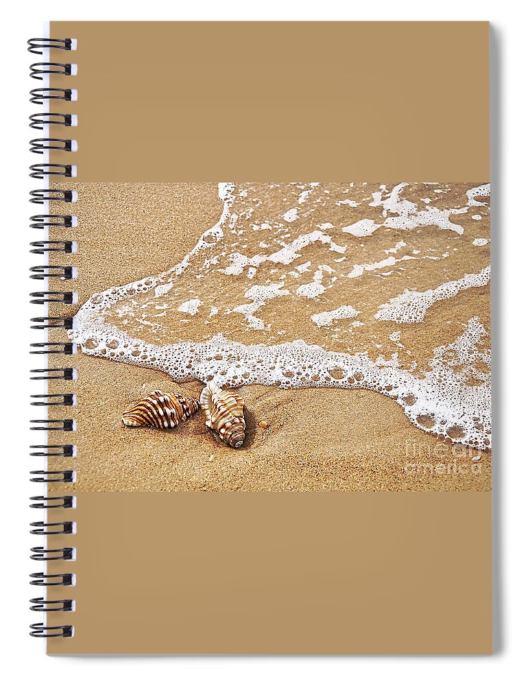Seashells And Lace Spiral Notebook featuring the photograph Seashells and Lace by Kaye Menner