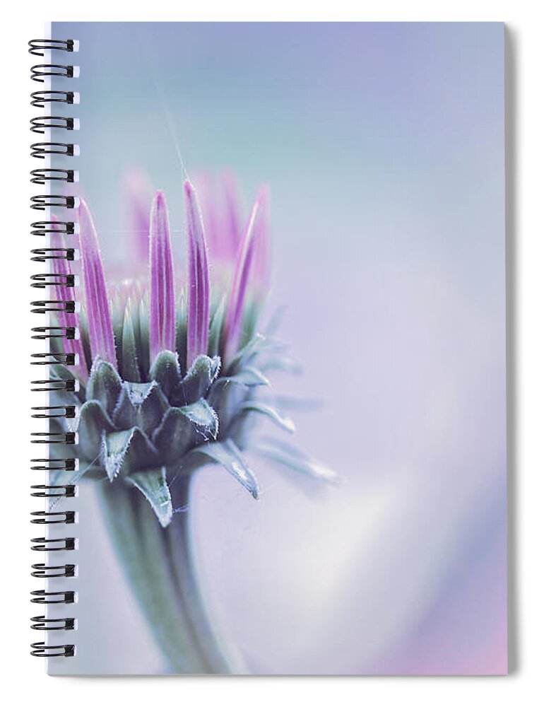 Floral Spiral Notebook featuring the photograph Seasons Journey by Bob Orsillo