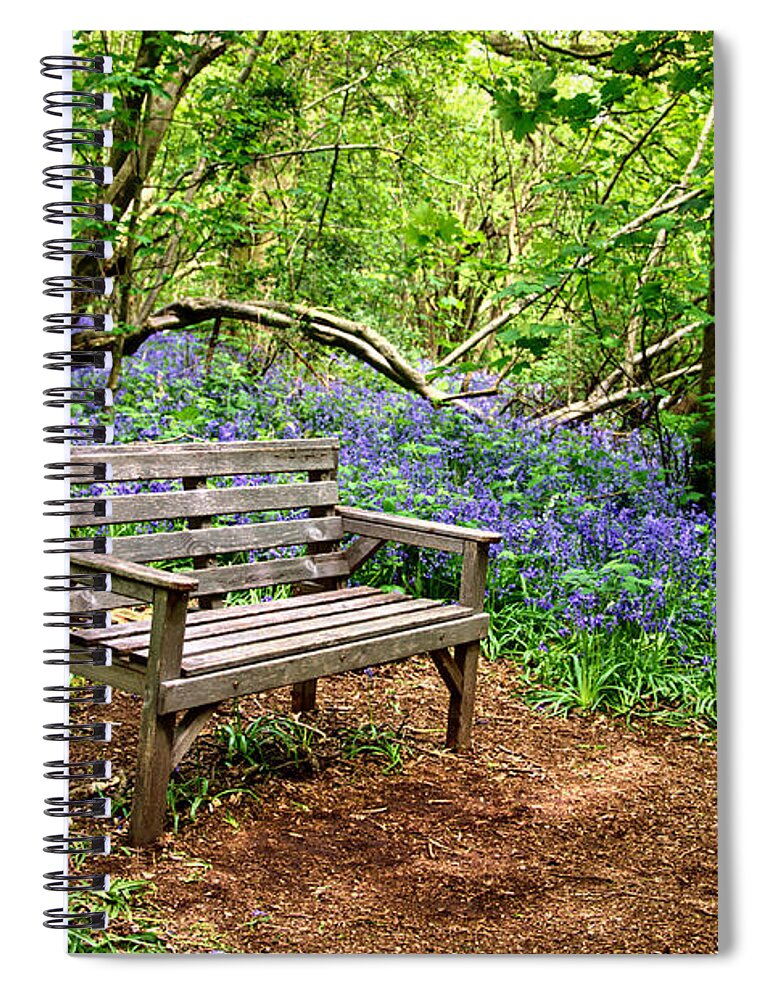 Woodland Spiral Notebook featuring the photograph Seat in the bluebell woodland by Steev Stamford