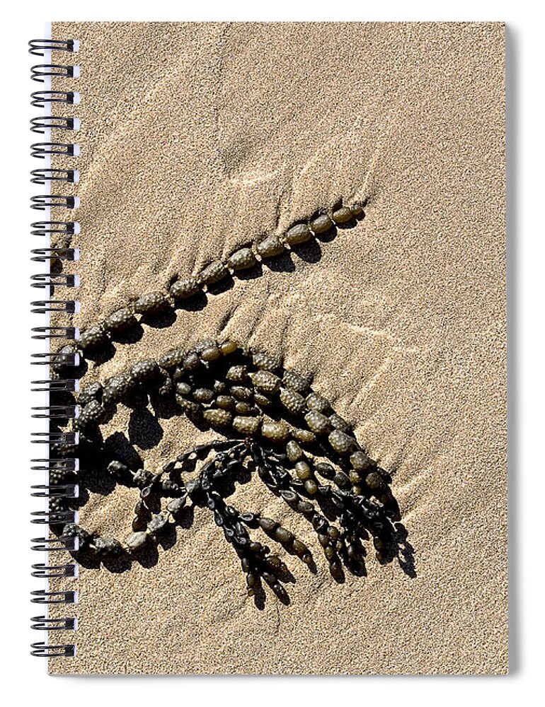 Seaweed Spiral Notebook featuring the photograph Seaweed on beach by Steven Ralser