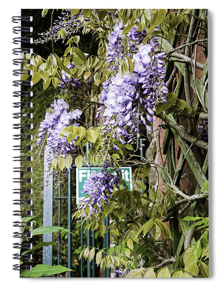 Gate Spiral Notebook featuring the photograph Secret Garden by Spikey Mouse Photography