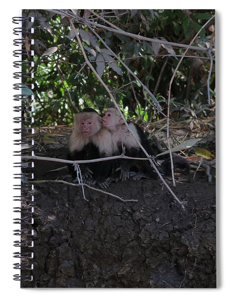Capuchin Spiral Notebook featuring the photograph Secrets by Jessica Myscofski