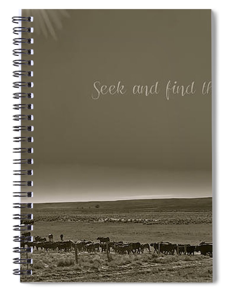 Cattle Spiral Notebook featuring the photograph Seek and Find by Amanda Smith