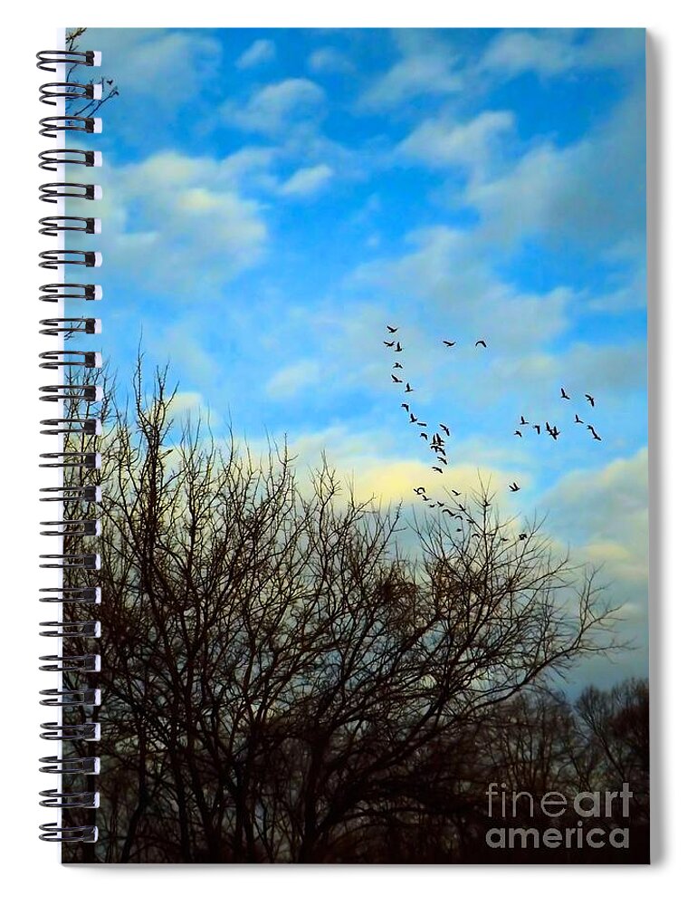 Sunrise Spiral Notebook featuring the photograph Seize The Day by Robyn King