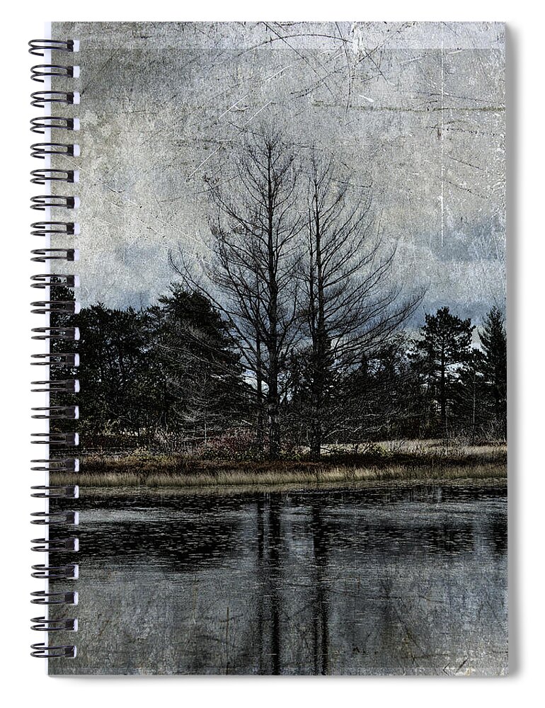 Evie Spiral Notebook featuring the photograph Seney Tintype by Evie Carrier