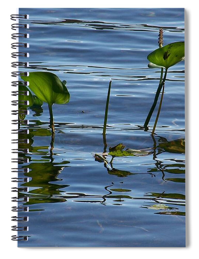 Water Spiral Notebook featuring the photograph September Reflections by Jackie Mueller-Jones