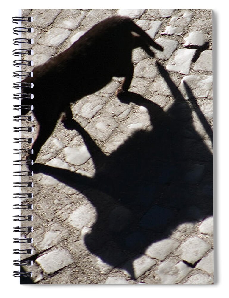 Shadow Spiral Notebook featuring the photograph Shadow Of A Black Cat by Tim Holt