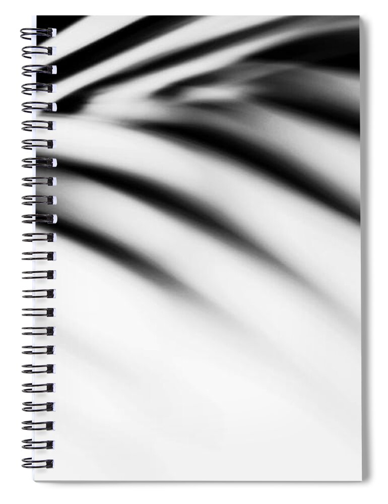 Nature Spiral Notebook featuring the photograph Shadow Zen. Palm Leaf. Monochrome by Jenny Rainbow