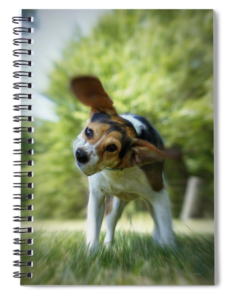 Beagle Spiral Notebook featuring the photograph Shake Shake Shake by Cricket Hackmann