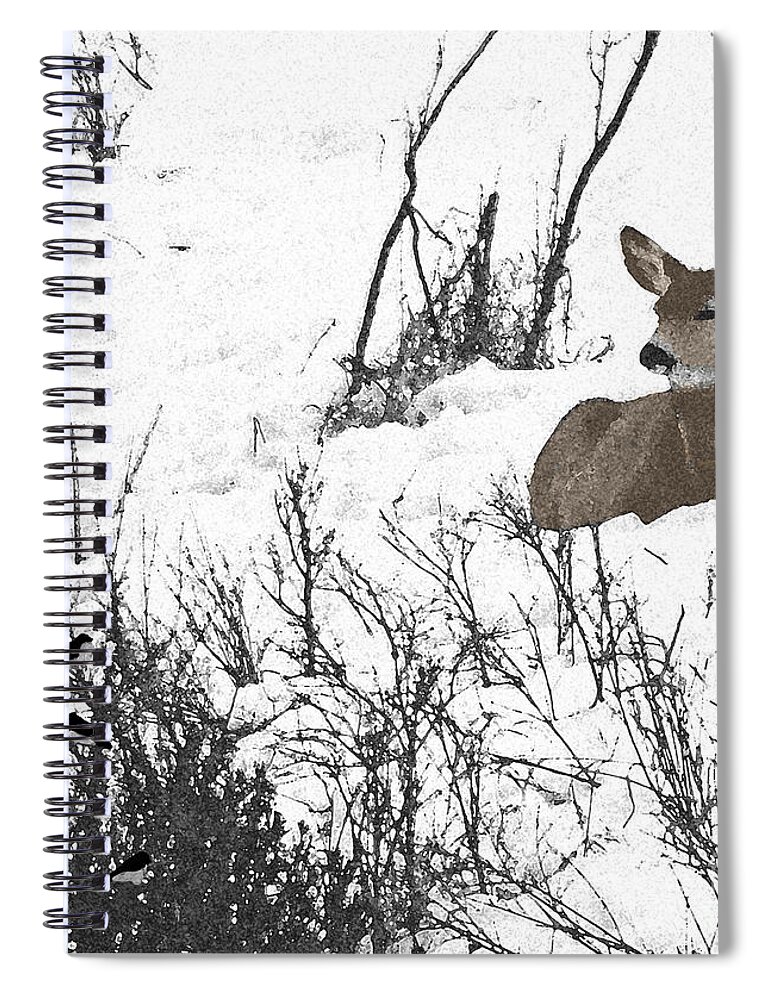 Deer Spiral Notebook featuring the photograph Share The Land by Al Bourassa
