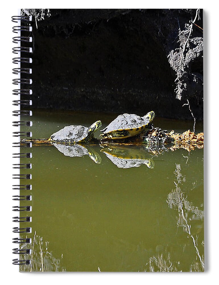 Turtle Spiral Notebook featuring the photograph Sharing Sliders by Al Powell Photography USA