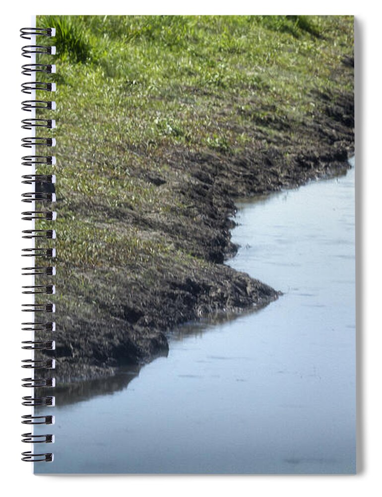 River Otter Spiral Notebook featuring the photograph Sharing the River by Belinda Greb
