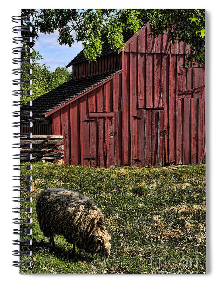 Barn Spiral Notebook featuring the photograph Sheep and Barn by Crystal Nederman