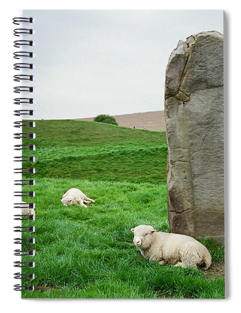 Standing Stone Spiral Notebook featuring the photograph Sheep at Avebury Stones - original by Marilyn Wilson