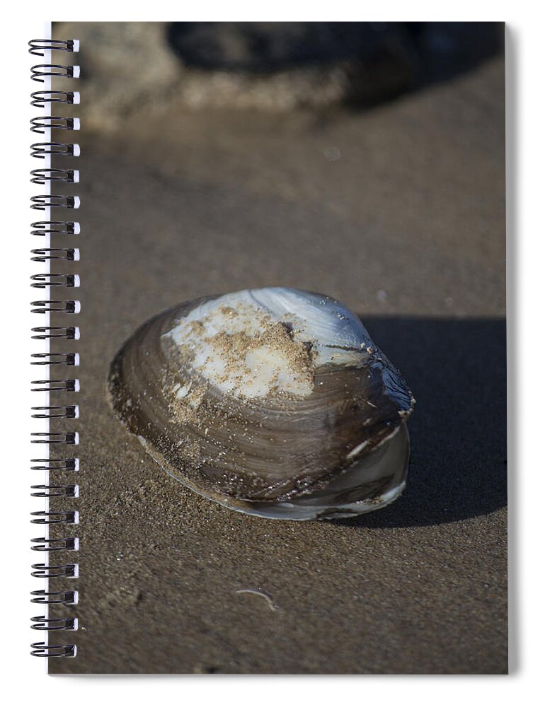 Sea Shell Spiral Notebook featuring the photograph Shell or someone's dinner by Spikey Mouse Photography