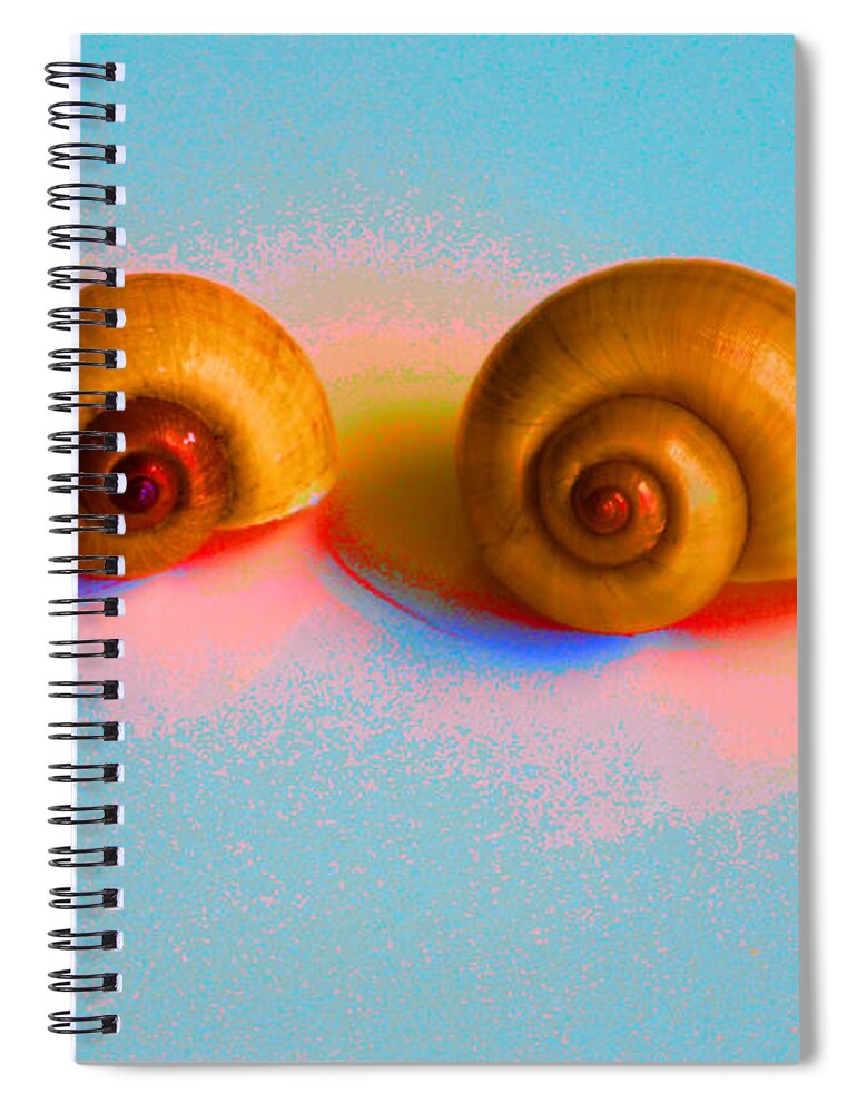 Shells In Colors Spiral Notebook featuring the digital art Shells in colors by Oksana Semenchenko