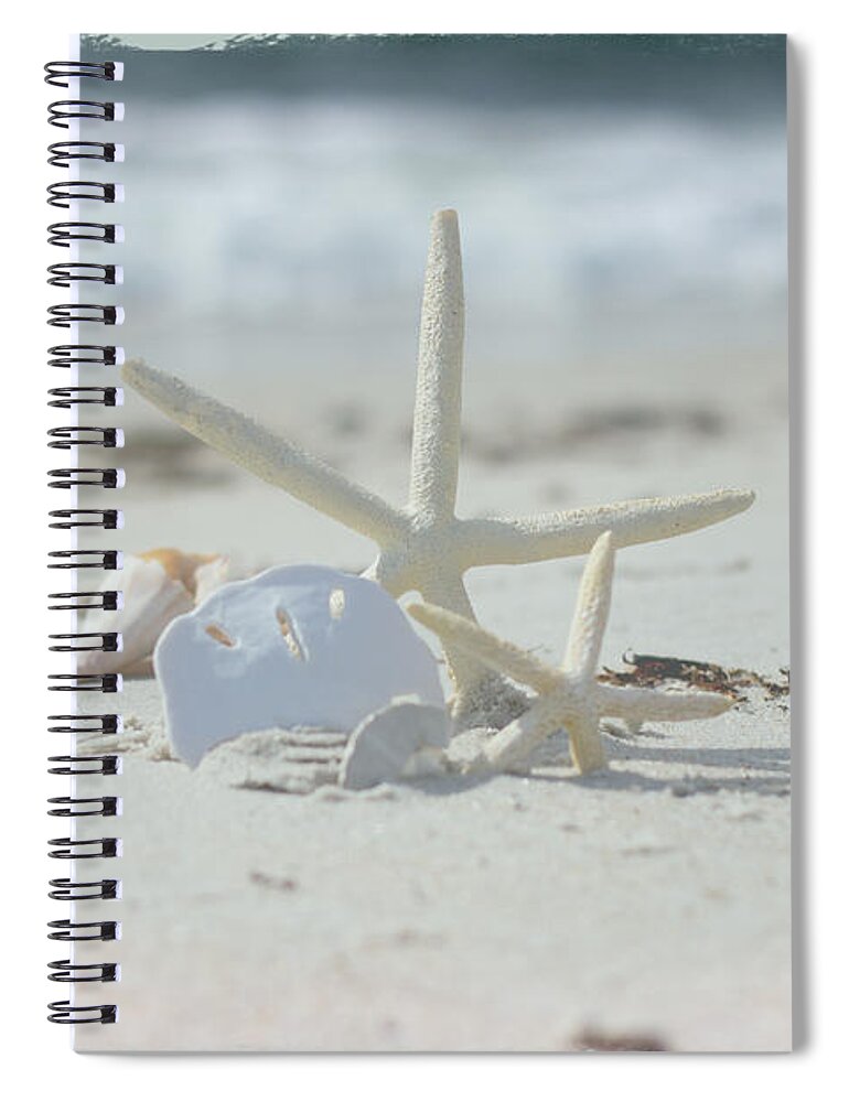 Shells Spiral Notebook featuring the photograph Sand in your Toes by JBK Photo Art