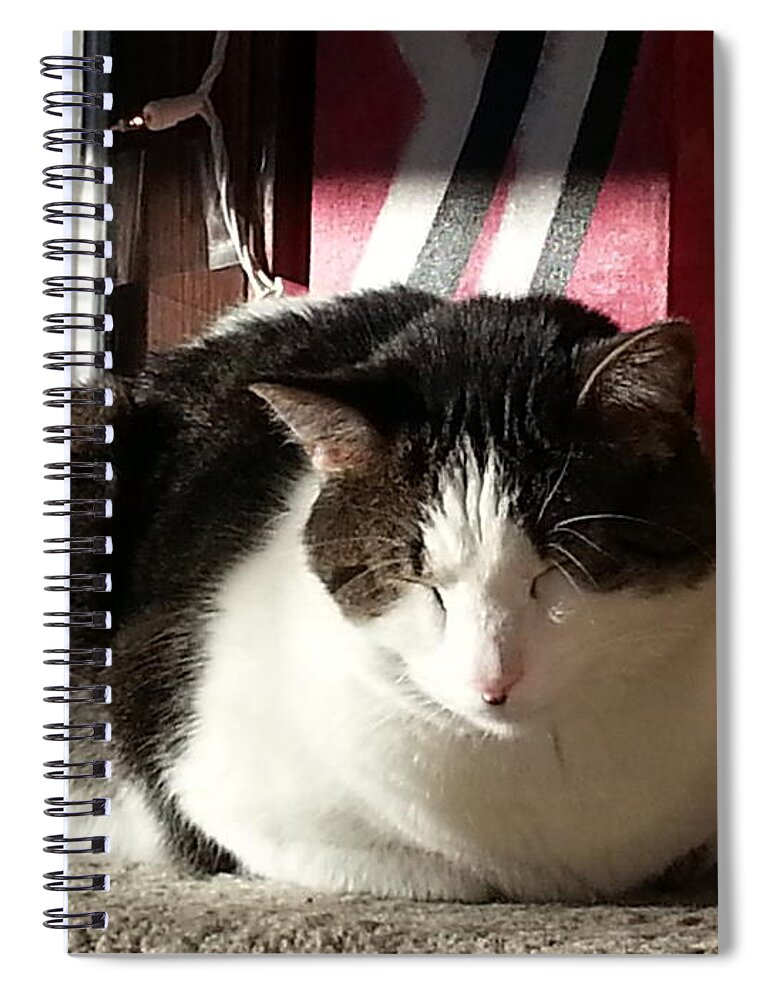 Cat Spiral Notebook featuring the photograph Shhh by Caryl J Bohn