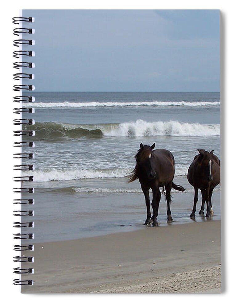 Wild Spanish Mustangs Spiral Notebook featuring the photograph Shoreline Stroll by Kim Galluzzo