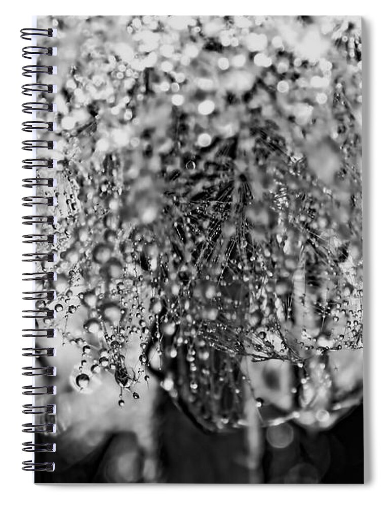 Dandelions Spiral Notebook featuring the photograph Shower Cap by Peggy Collins