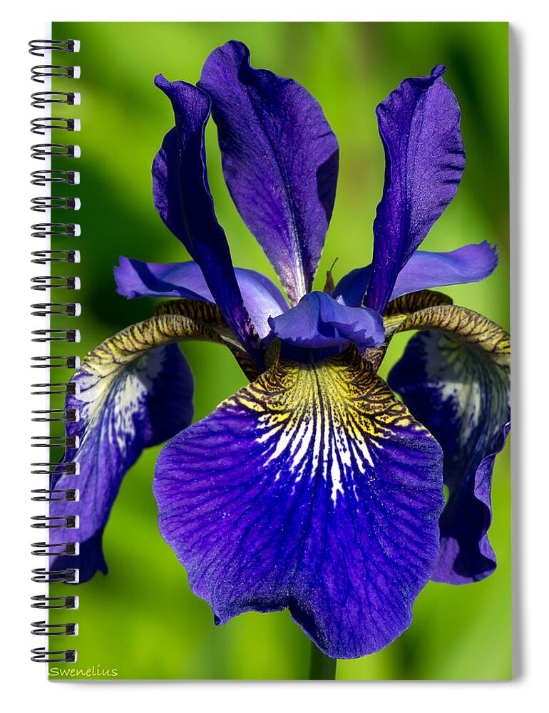 Siberian Iris Spiral Notebook featuring the photograph Siberian Iris by Torbjorn Swenelius