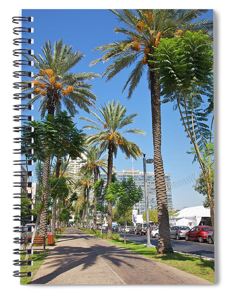 Shadow Spiral Notebook featuring the photograph Sidewalk With Palm Trees by Barry Winiker