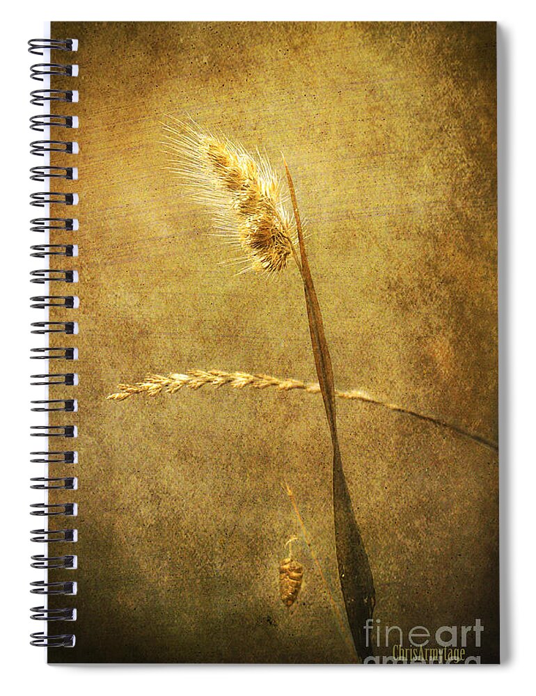 Three Spiral Notebook featuring the photograph Sighing of Changes by Chris Armytage