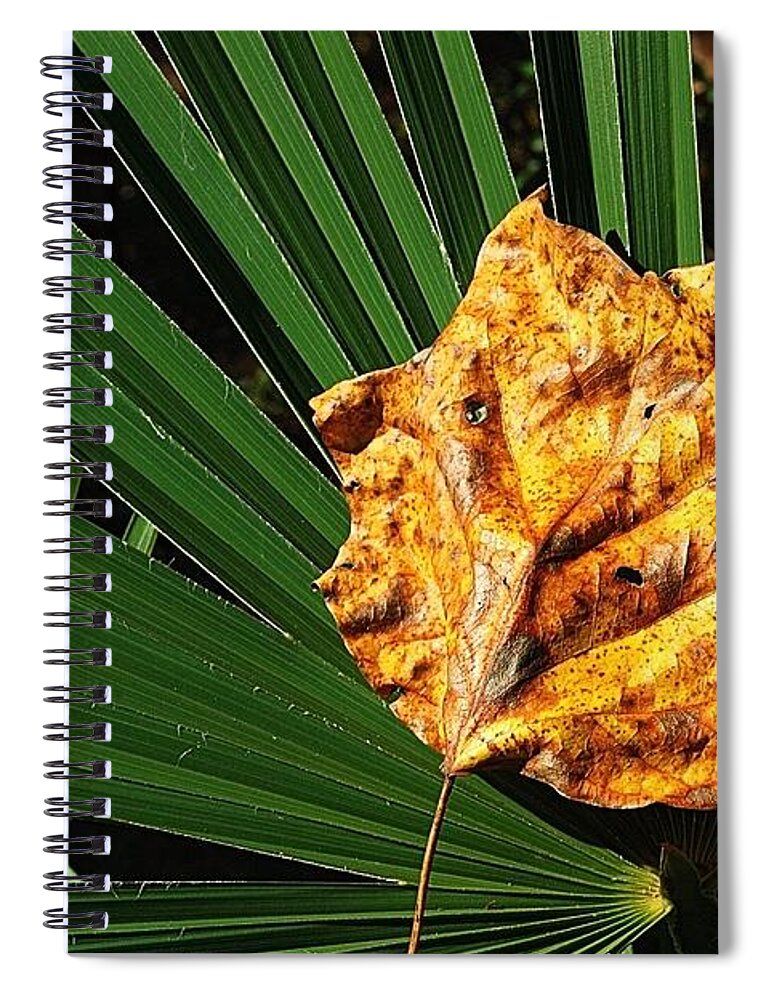 Fall Spiral Notebook featuring the photograph Sign of Fall in the South by Ludwig Keck