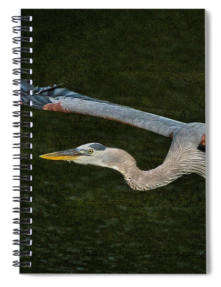Wildlife Spiral Notebook featuring the photograph Silence in the Wings by Deborah Benoit