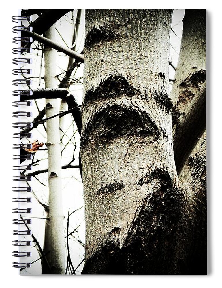 Tree Spiral Notebook featuring the photograph Silent Witness by Zinvolle Art